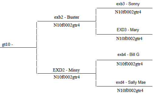 Animal Lineage